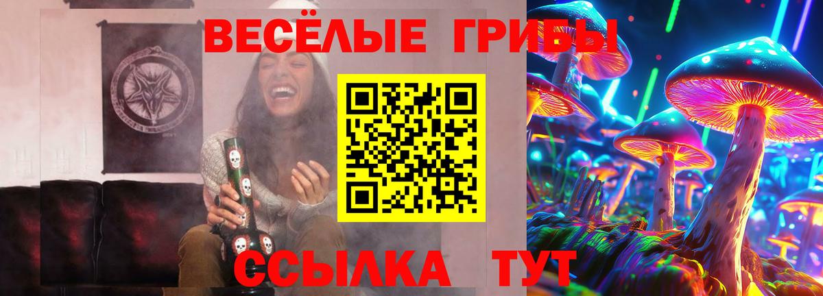Камышин  Галлюциногенные грибы мухоморы  Псилоцибиновые грибы ЛСД  Вход с VPN 