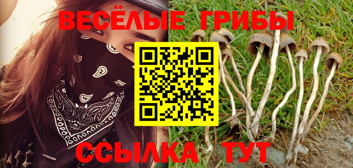 Галлюциногенные грибы Magic Shrooms Камышин